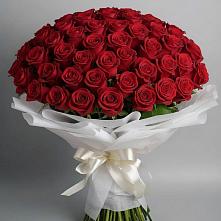 Букет 101 Красная роза Блэк Мэджик в Углеуральском